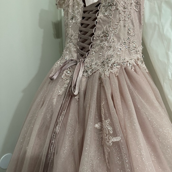 Fiesta Gowns by House of Wu Size 12 - Picture 11 of 16